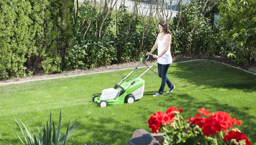Amikor mindenki egyszerre kezdi nyírni a füvet