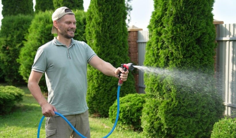 Frissen locsolt nyár